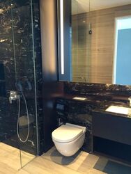 Tomlinson Heights (D10), Condominium #454867091